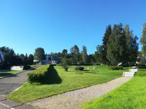 Гелиопарк Лесной