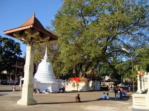 Getambe Temple (ගැටඹේ පන්සල)