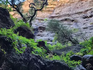 Los Terrones