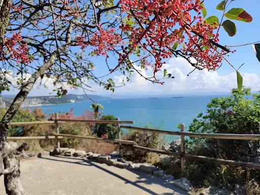 View point
