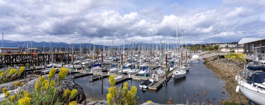 Marina Park