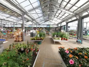 bellaflora Fohnsdorf