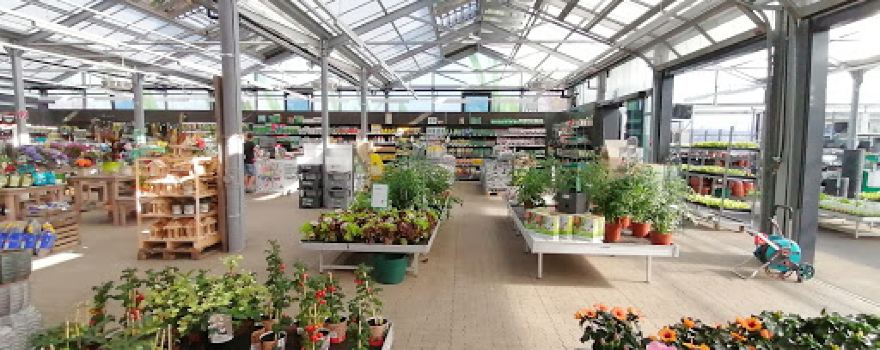 bellaflora Fohnsdorf