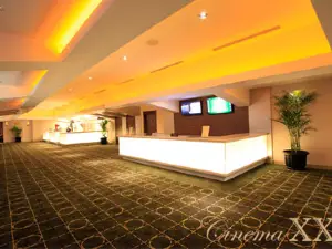 Paragon XXI