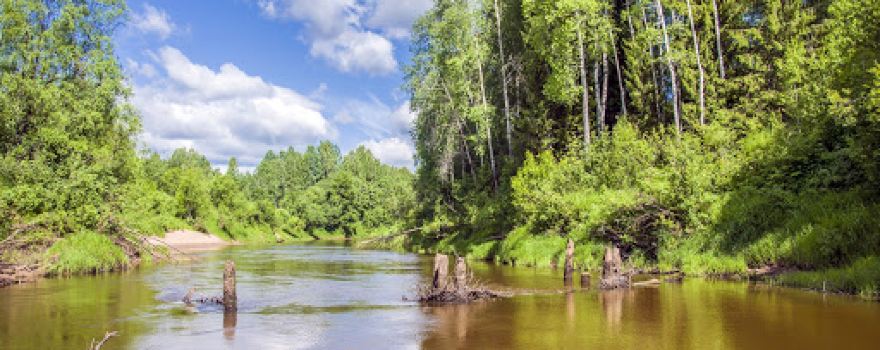 Vetluga River