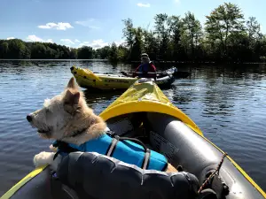 Pine Point Campground
