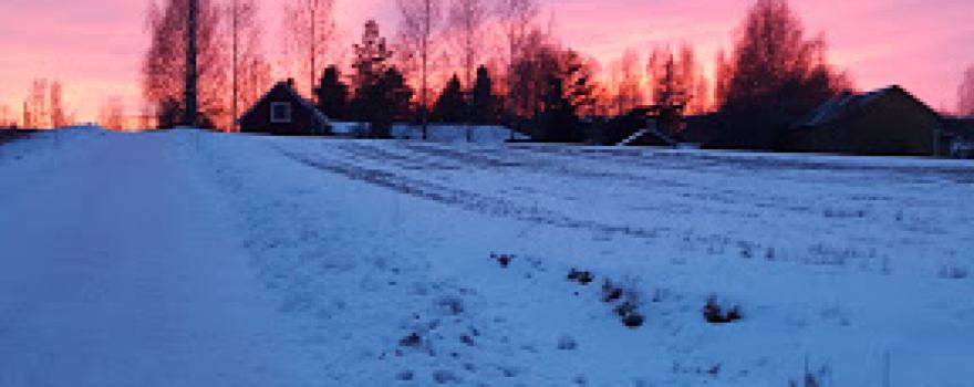 Monninkylän koirapuisto