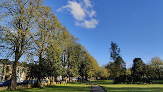Mercer Park