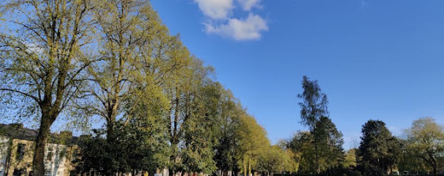 Mercer Park