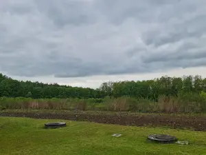 Szkółka Leśna Grabowiec
