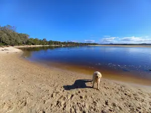 Doggy Beach
