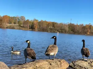 Anchor Park