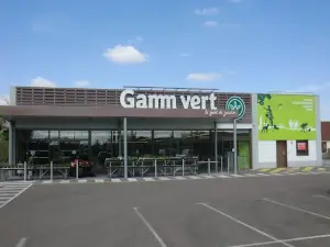 Gamm vert