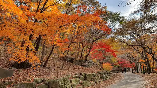 성주산자연휴양림