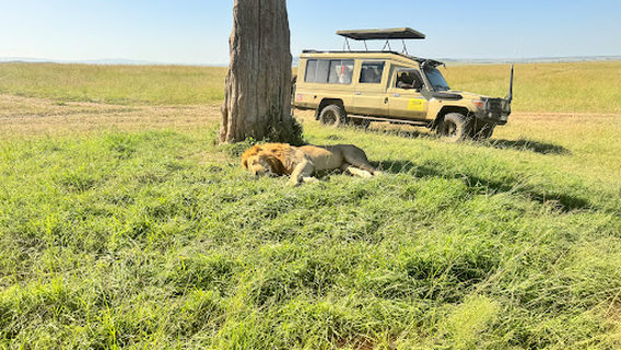 Maasai Mara