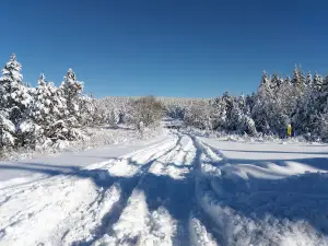 Station Mont Lozère