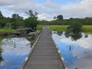 Danau Barong