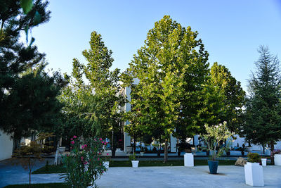 Mesečev Konak