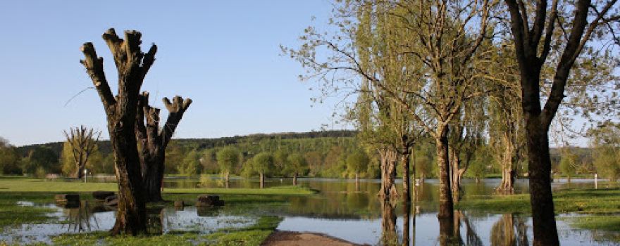 Camping Sous Le Moulin