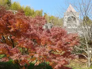 Red Wing Park