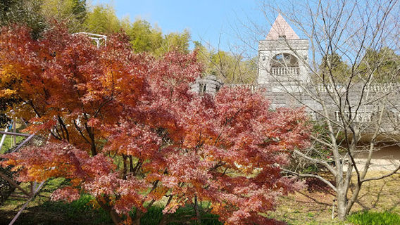 Red Wing Park