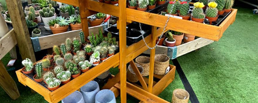 Horncastle Garden Centre