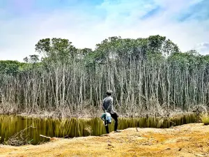 Panjiwa beach Sumbermas