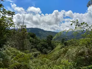 Fuente De Lavapatas