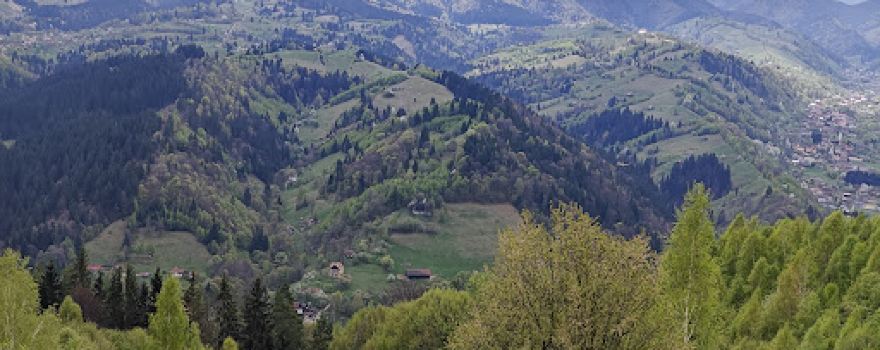 Panoramă Bran