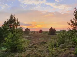 Romo Family Camping and Romo Holiday Rentals