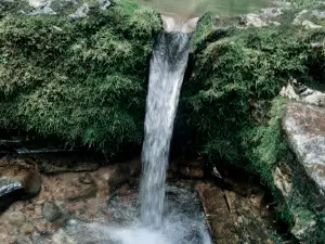 Sokolov springs