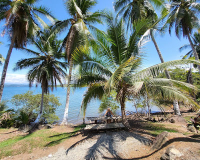 Rincon de Osa