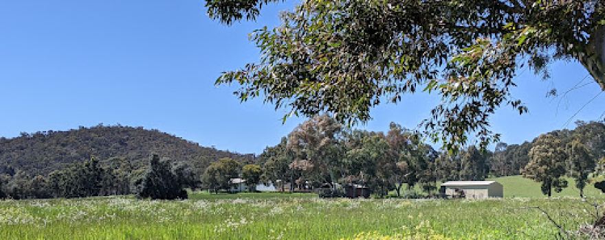 The Village Green