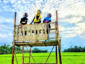 cafe sawah kuing cafe