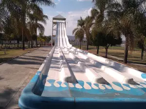 El Hongo Club