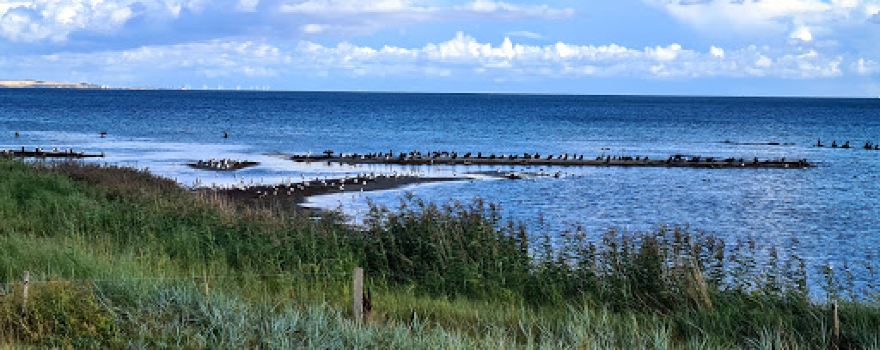 Nivå Bugt Strandenge