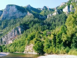 Camping les Osiers