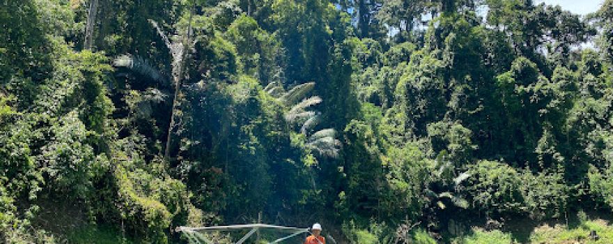 Song Thanh National Park