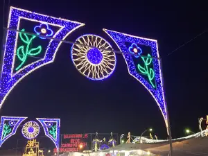 Parque da Piedade (Feira de São Mateus)
