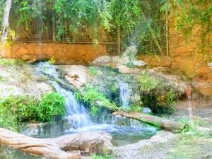 Ha’Em Garden