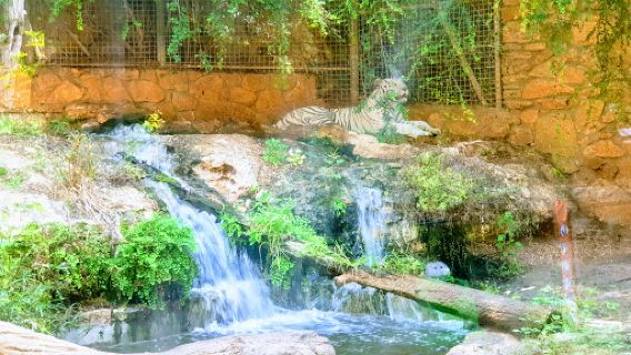 Ha’Em Garden