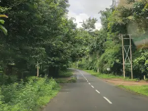 Jungle Mahal
