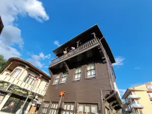 Kocagöz Konağı, Küre Dağları Milli Parkı Etnoğrafya Müzesi ve Ziyaretçi Merkezi