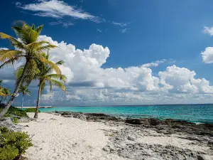 Playa Xcaret Arte