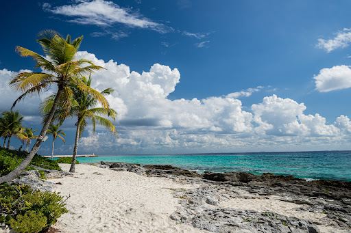 Playa Xcaret Arte
