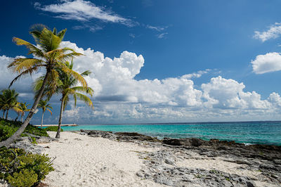 Playa Xcaret Arte
