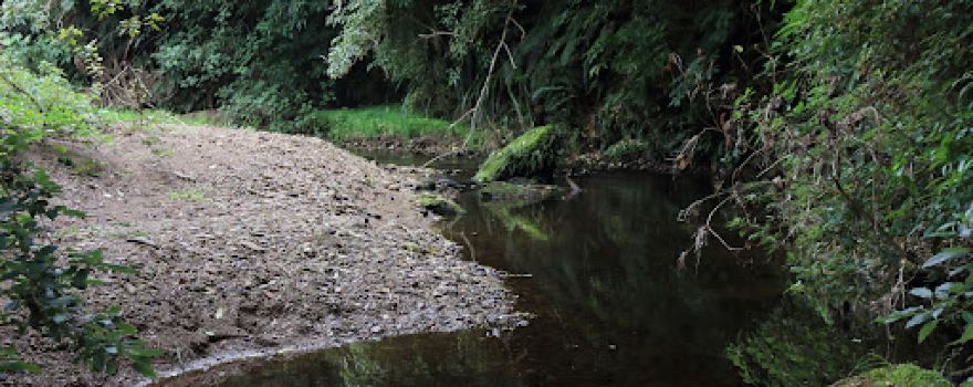 Carey's Creek