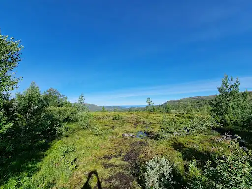 Molde Utsiktspunkt