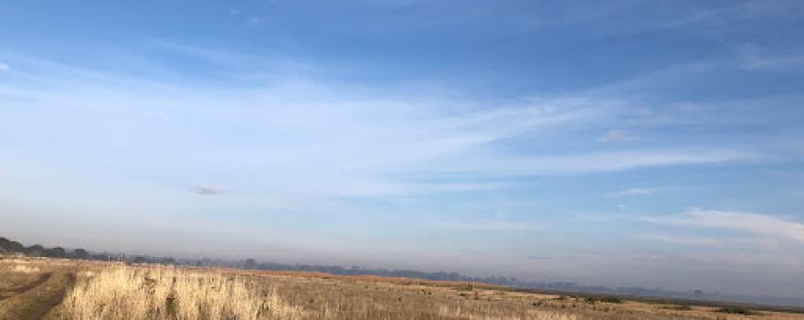 Bryan Swamp Wildlife Reserve
