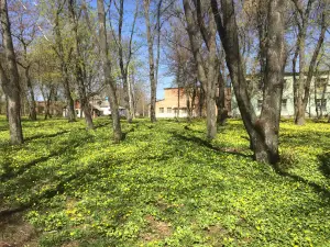Stadium "Kolos"